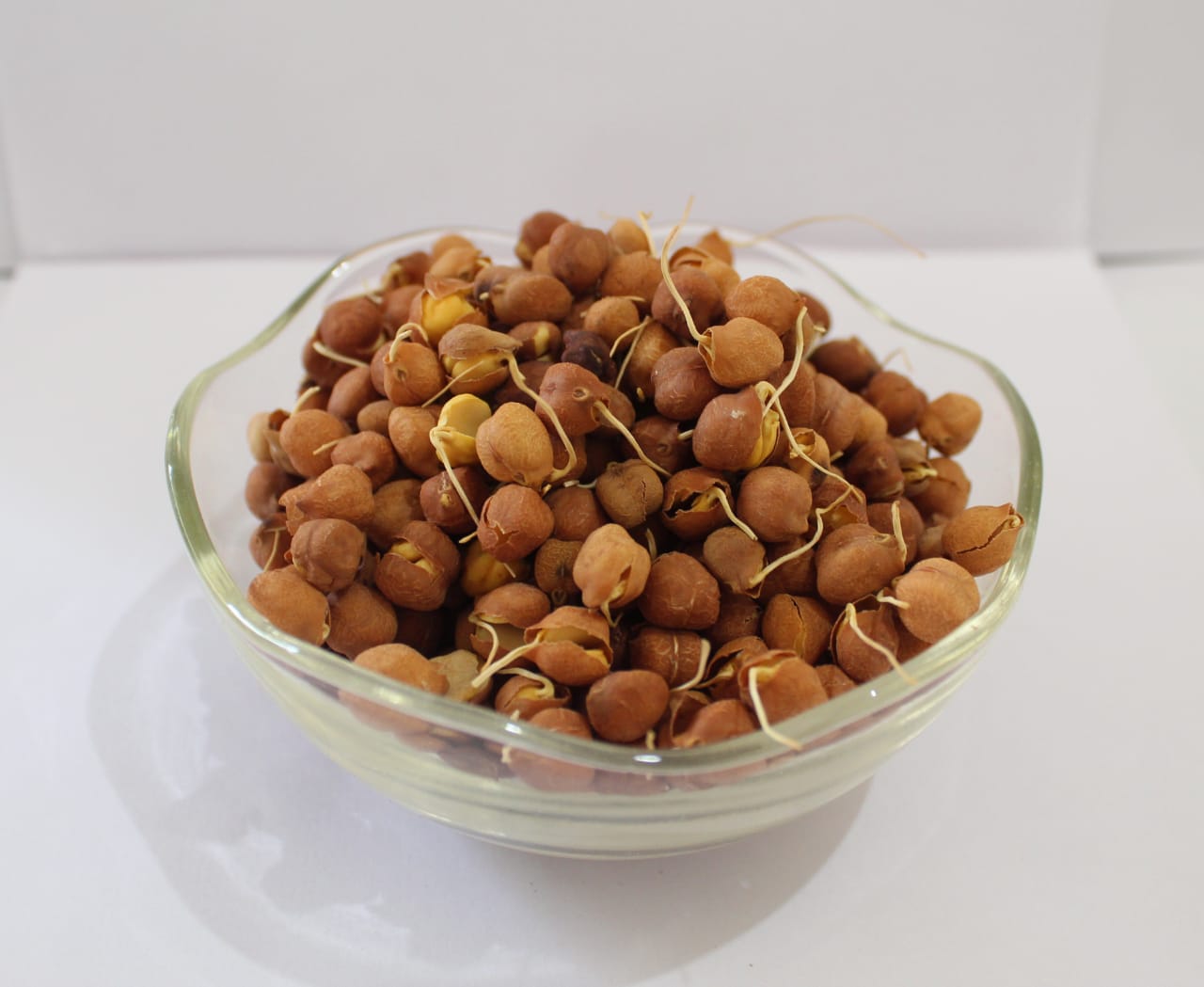 Industrial Robot Arm