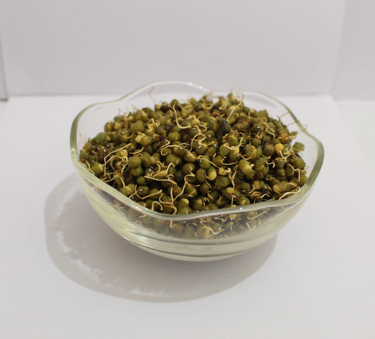 Industrial Robot Arm