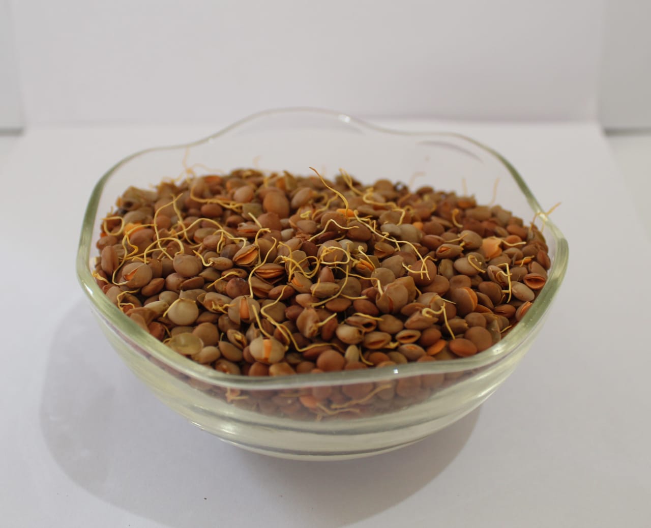 Industrial Robot Arm