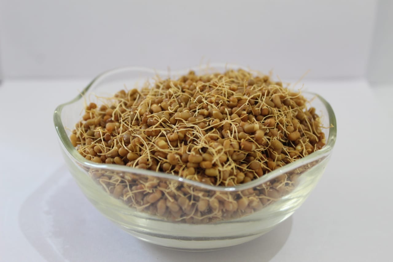 Industrial Robot Arm