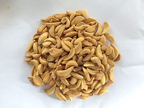 Industrial Robot Arm