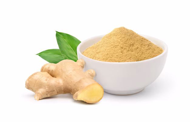 Industrial Robot Arm