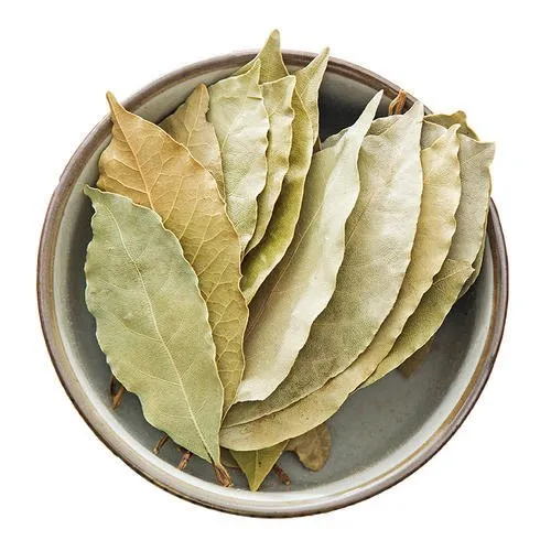 Industrial Robot Arm