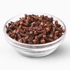 Industrial Robot Arm